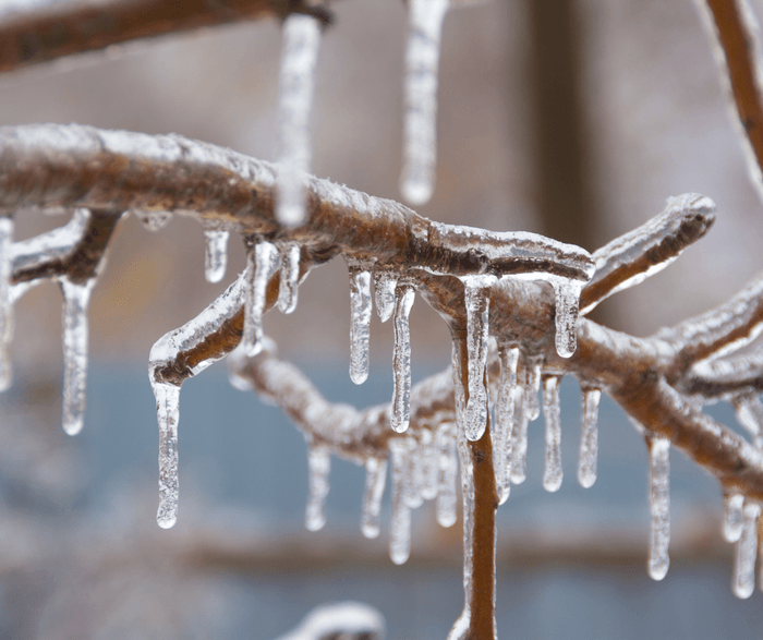 Freezing Weather